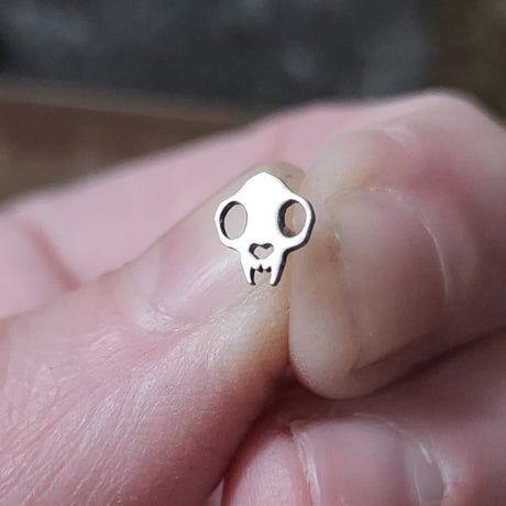 Nose Studs + Earrings