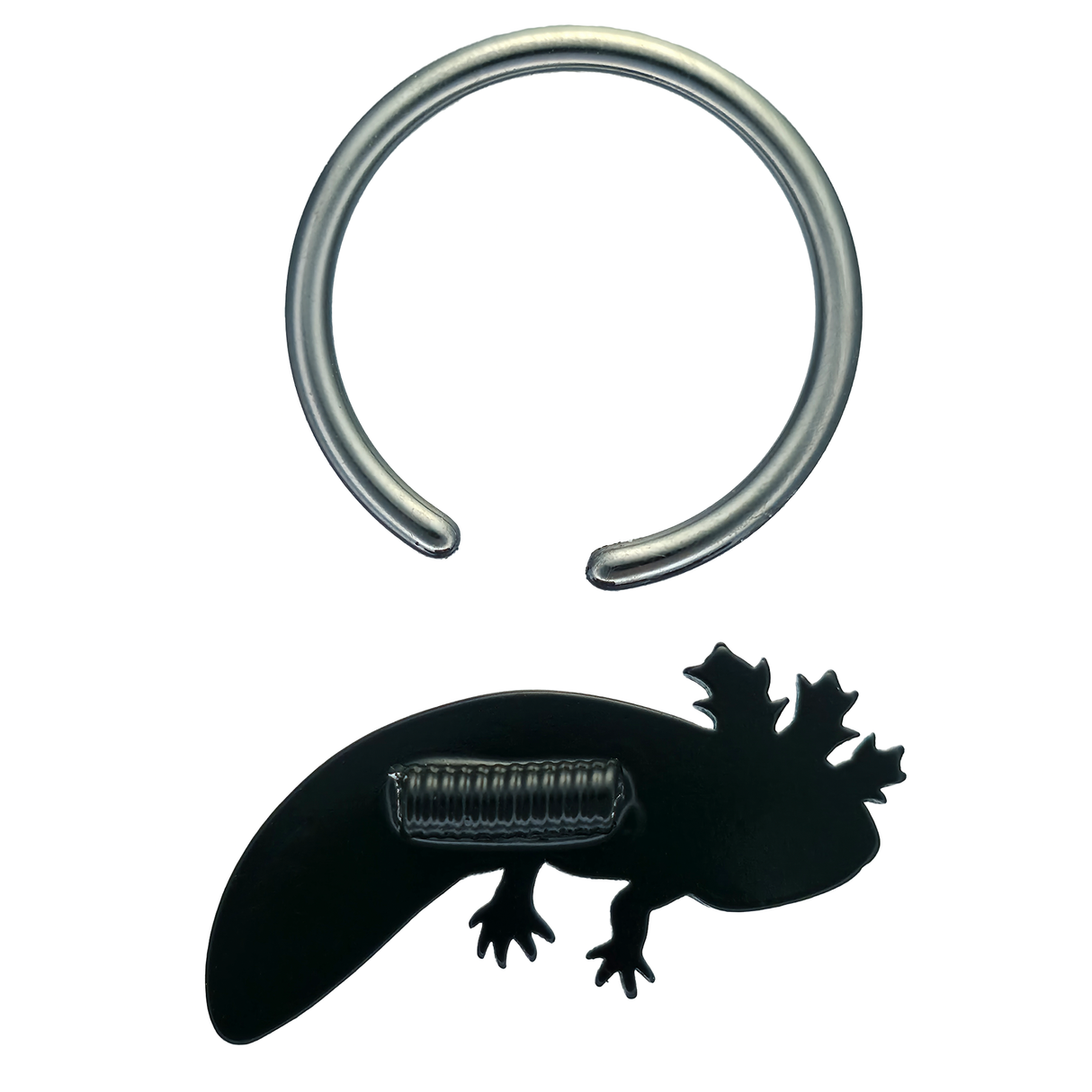 back side of axolotl captive bead ring