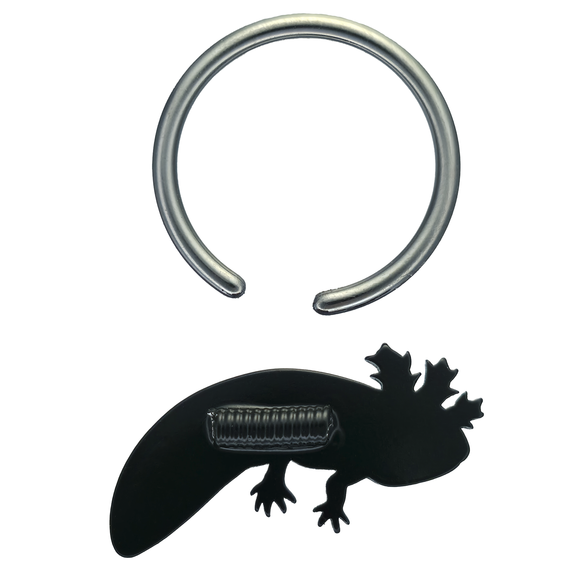 back side of axolotl captive bead ring