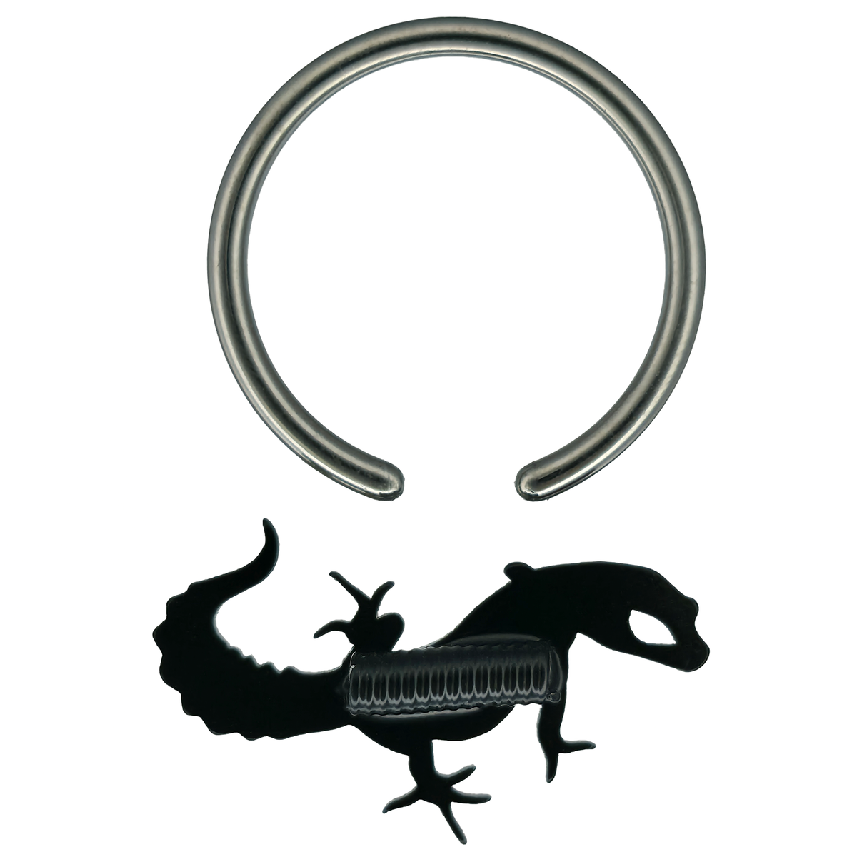 back side of leopard gecko captive bead ring