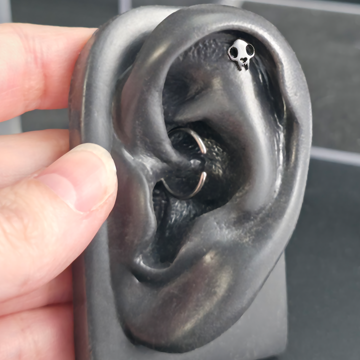 Cat Skull Silhouette Nose Stud + Earring