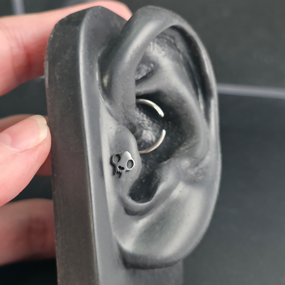 Cat Skull Silhouette Nose Stud + Earring