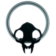 cat skull captive bead ring