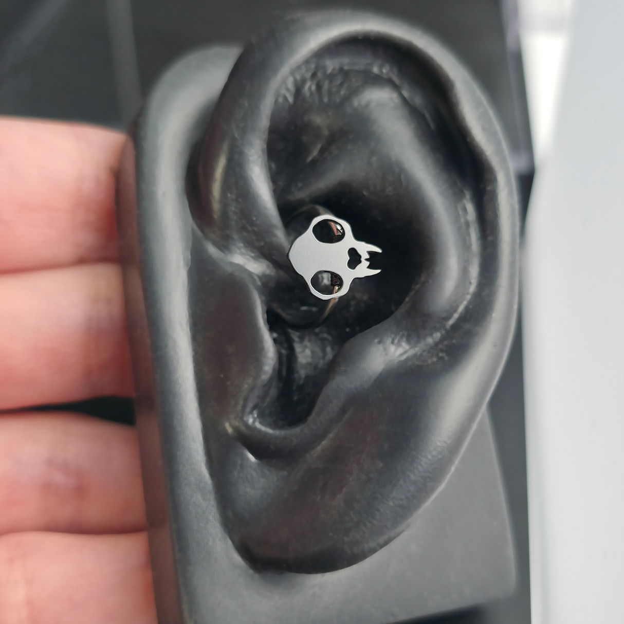 cat skull daith earring in ear