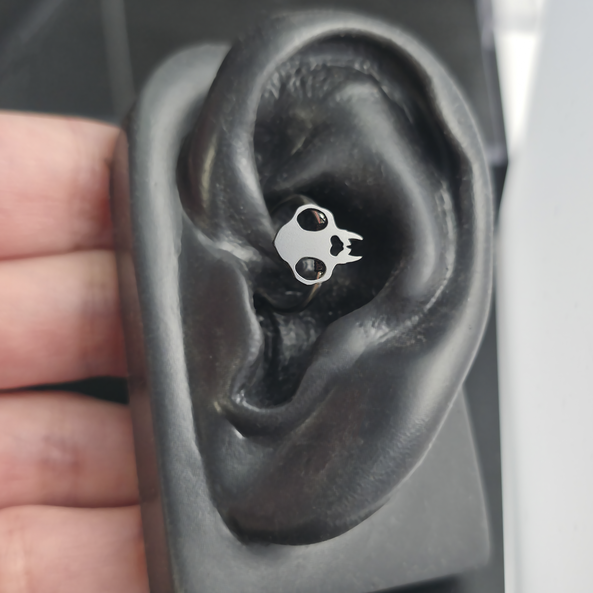 cat skull daith earring in ear