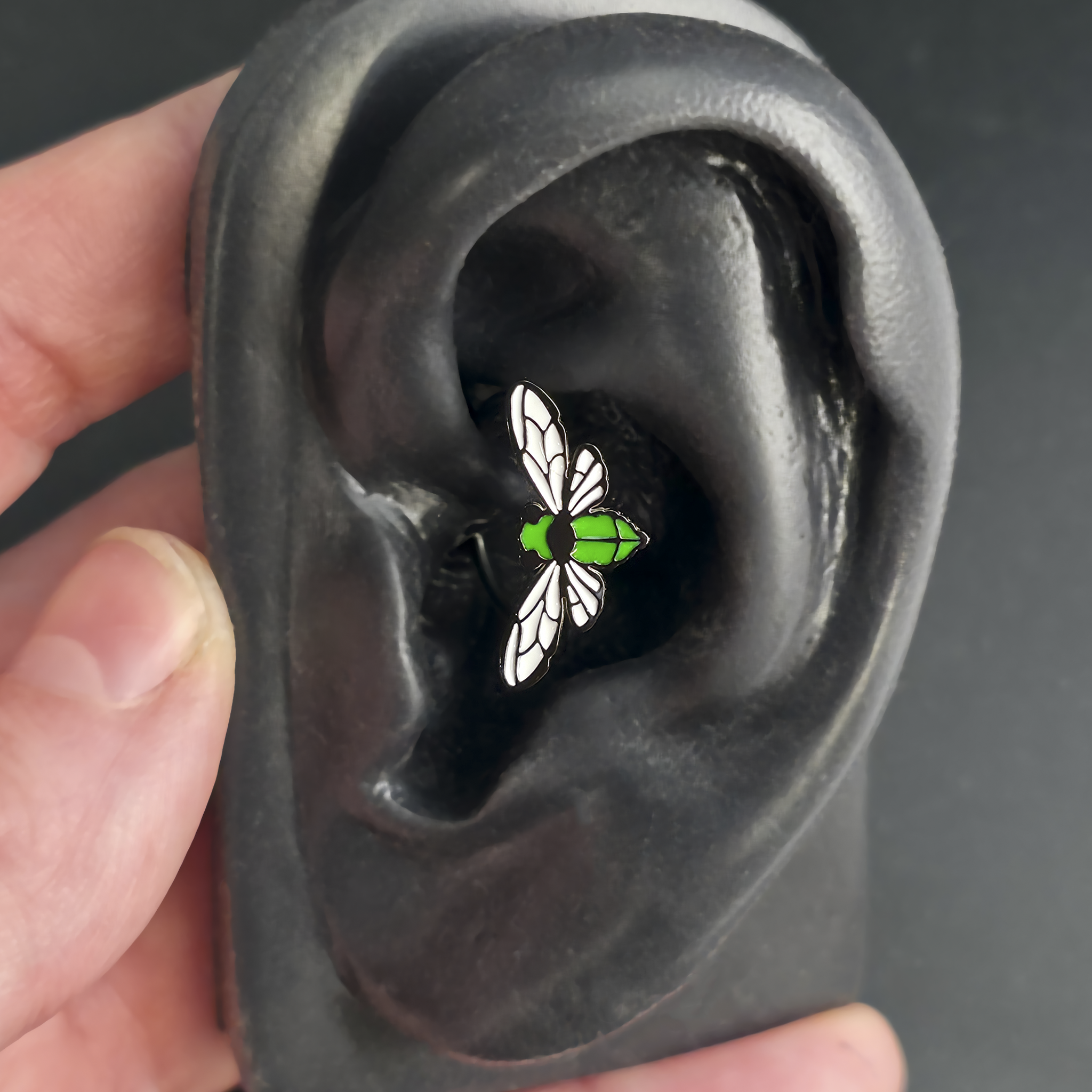 Cicada Septum + Daith Ring