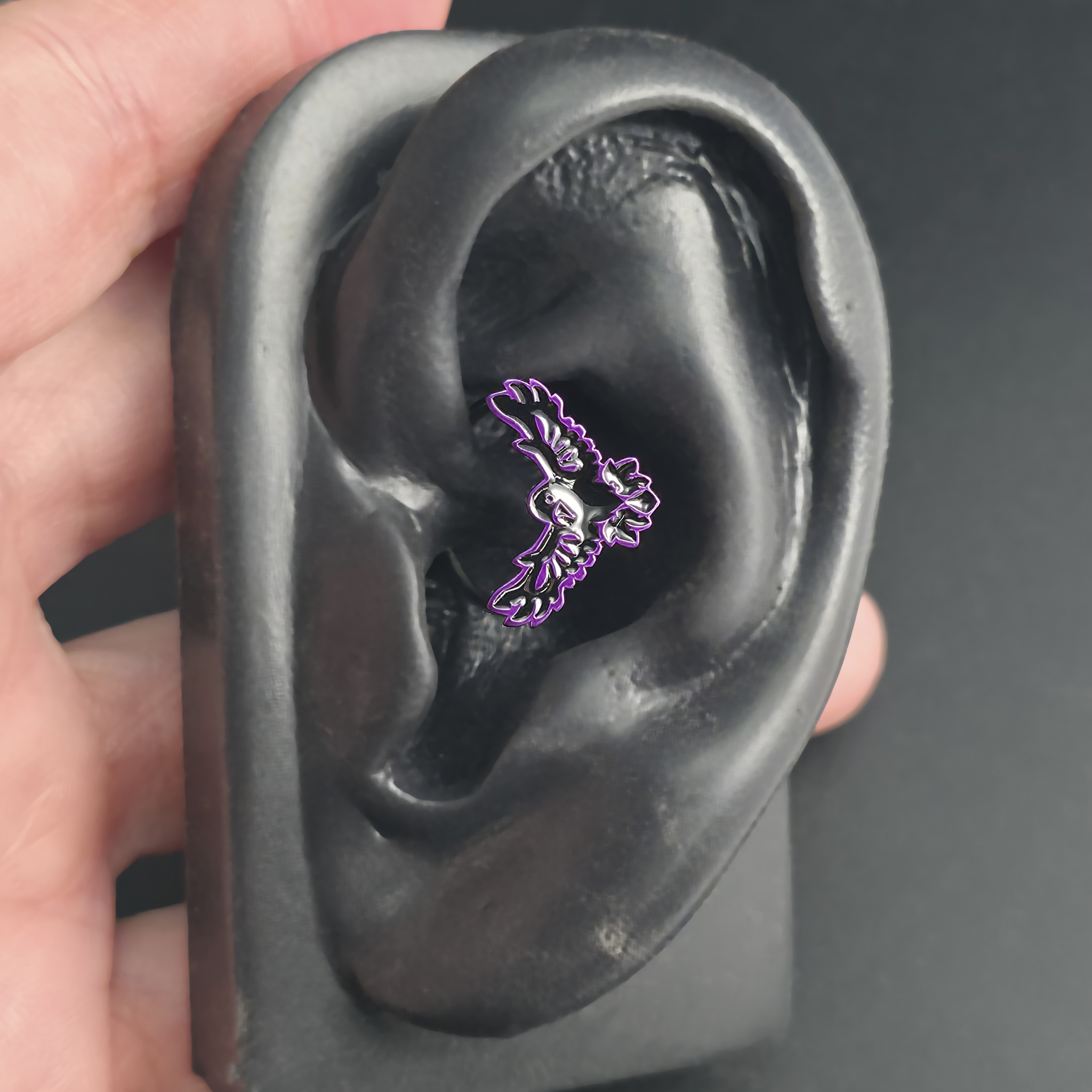 flying raven daith earring in ear