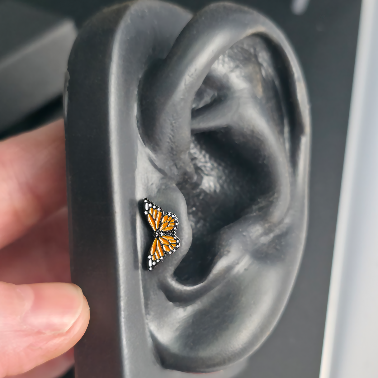 monarch butterfly stud earring in a tragus piercing