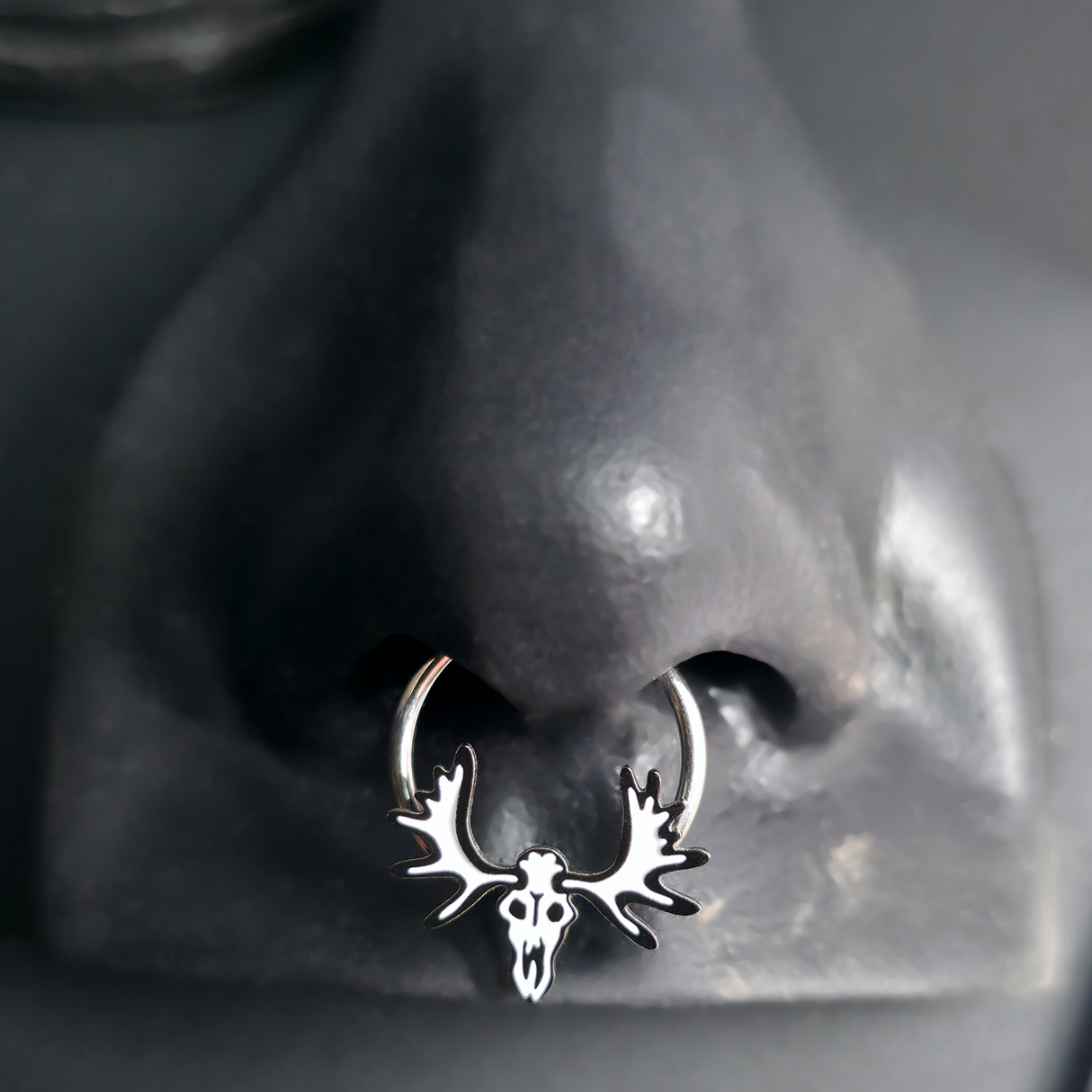 moose skull septum ring