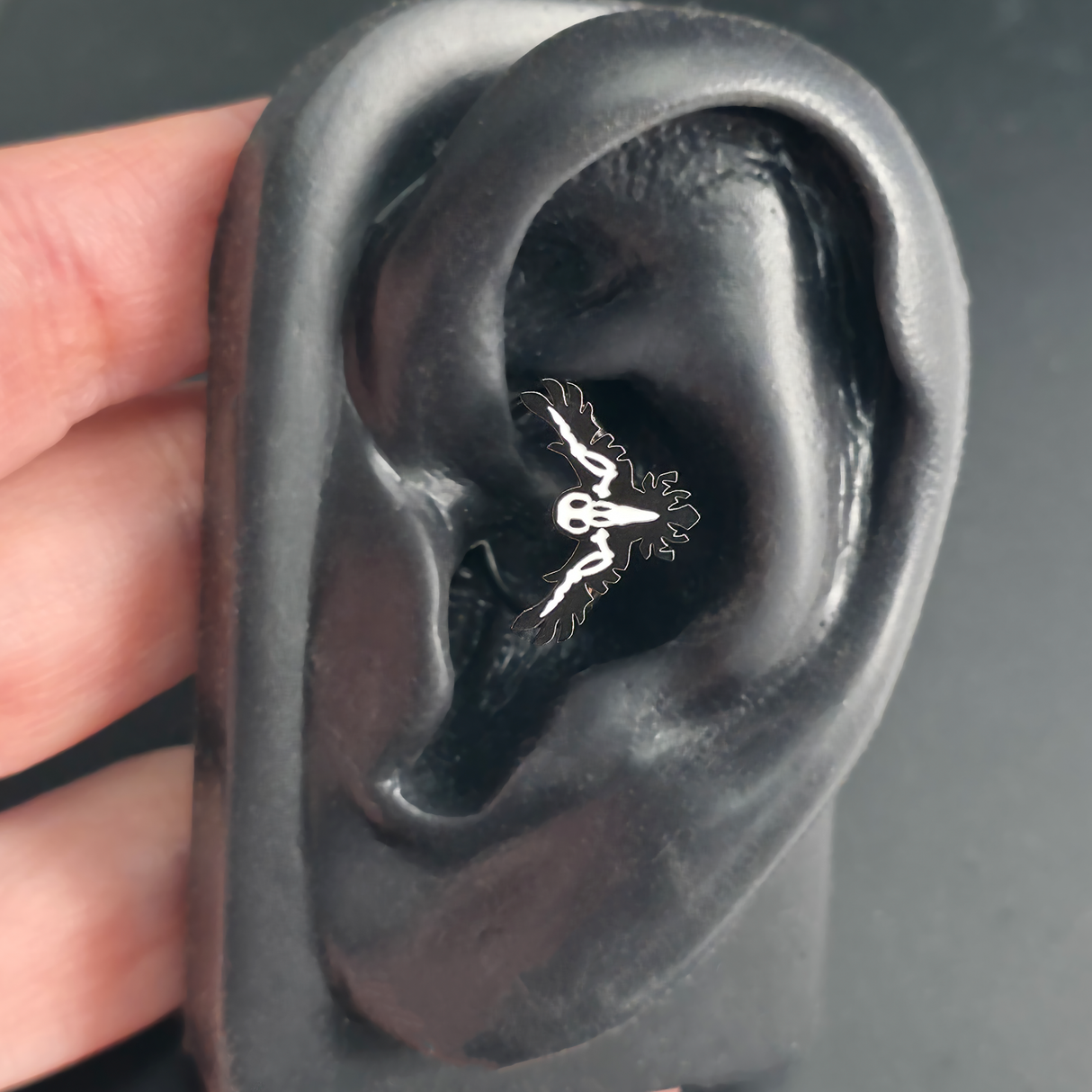 raven skeleton daith earring in ear