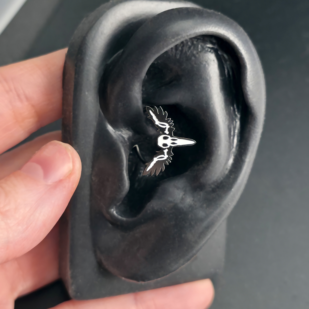 raven skull daith earring in ear