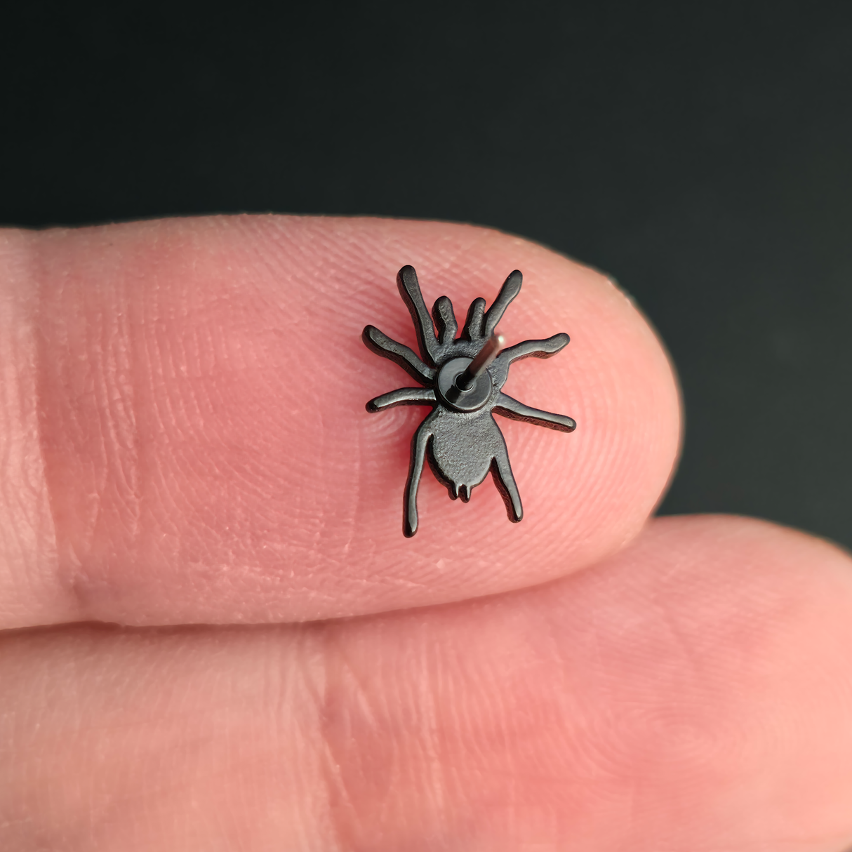Tarantula Silhouette Nose Stud + Earring