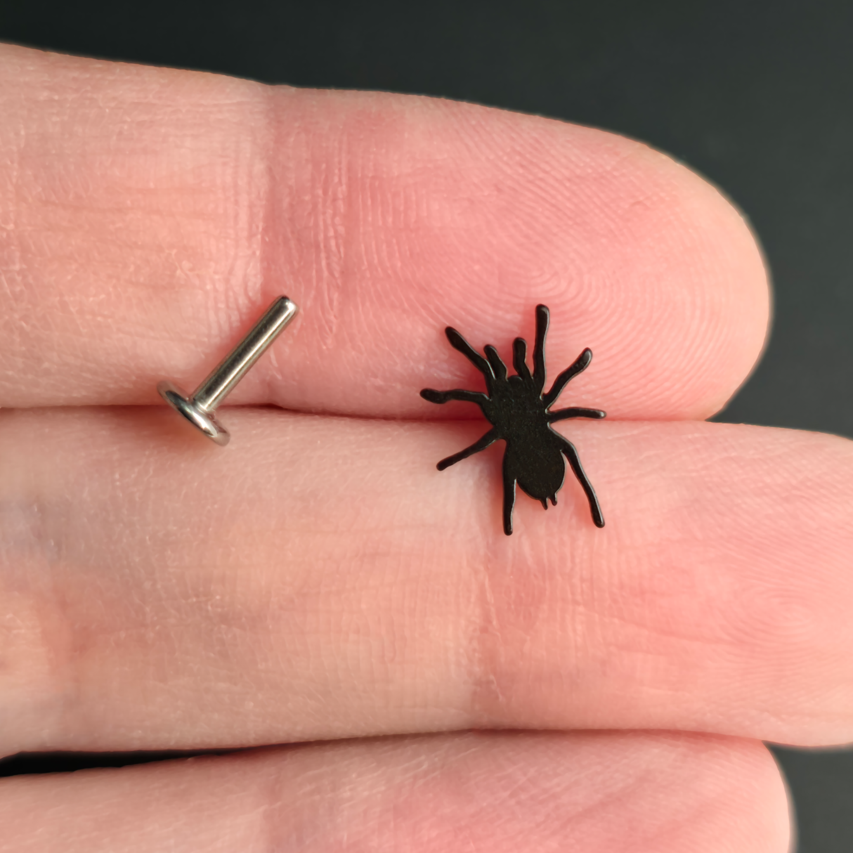 Tarantula Silhouette Nose Stud + Earring