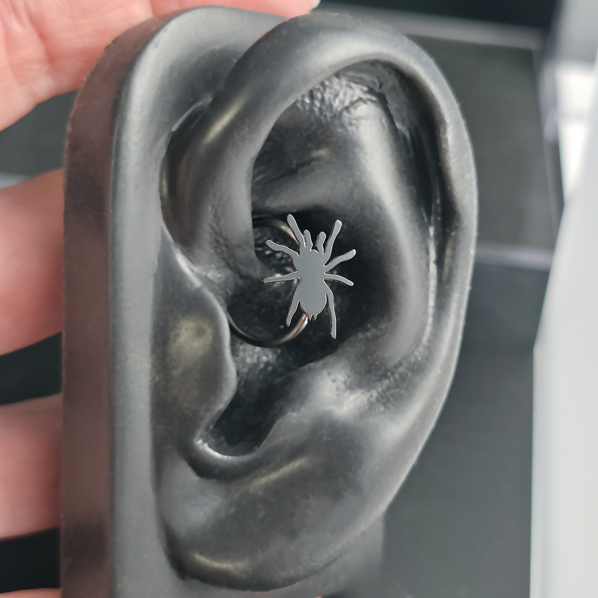 tarantula daith earring in ear