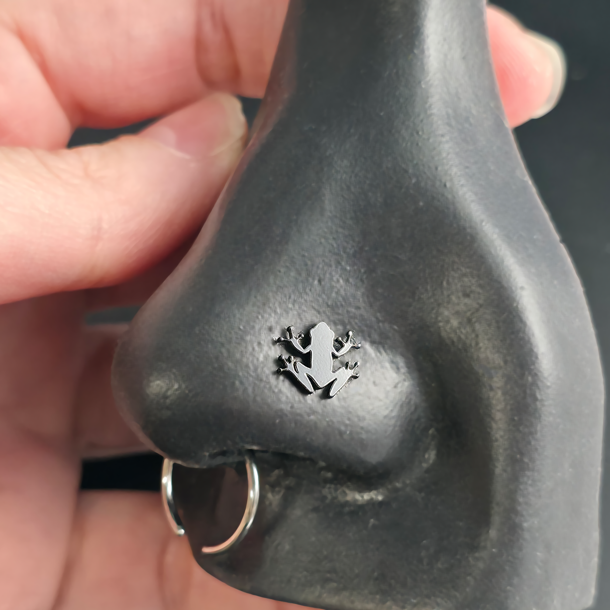 Tree Frog Silhouette Nose Stud + Earring