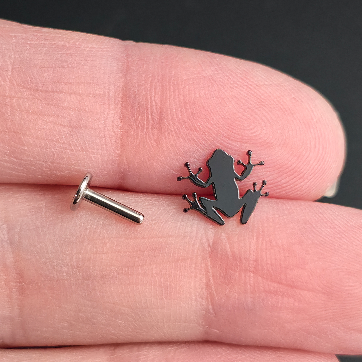 Tree Frog Silhouette Nose Stud + Earring