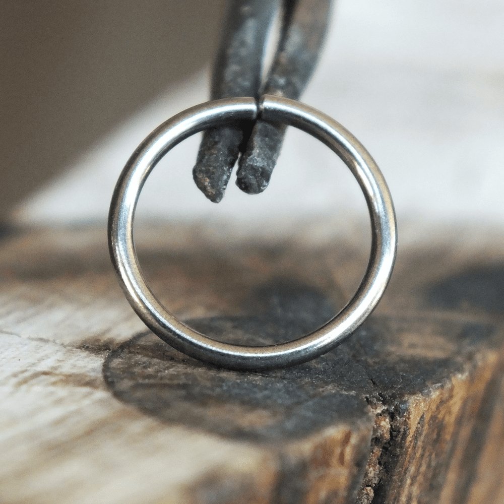 Niobium Endless Hoop - Metal Lotus