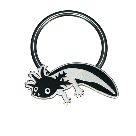 axolotl septum ring