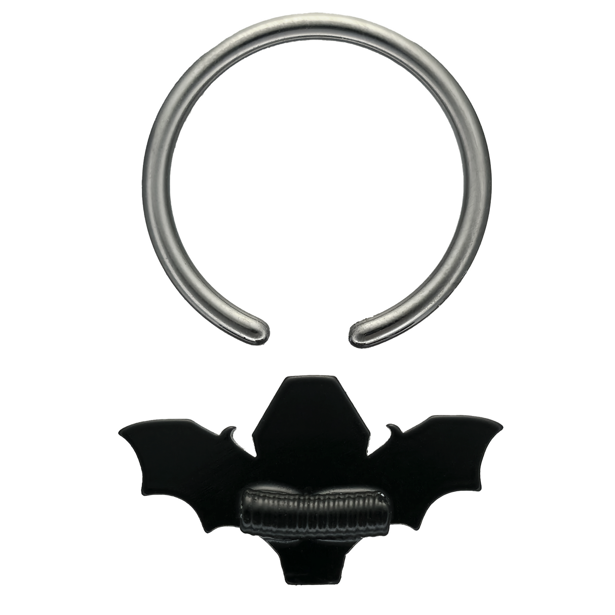 back side of coffin bat