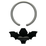 back side of coffin bat