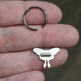 back side of luna moth septum and daith ring