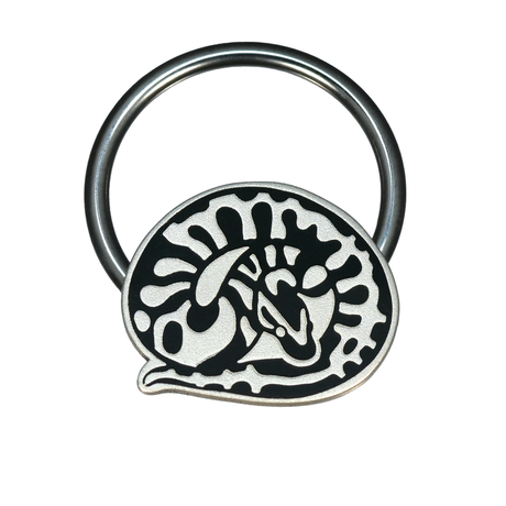 ball python septum ring