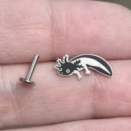 axolotl threadless stud for nose and ear piercings