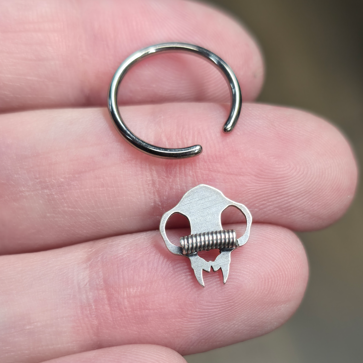 back side of cat skull septum ring