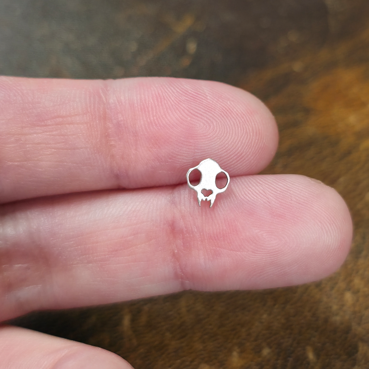 cat skull threadless stud