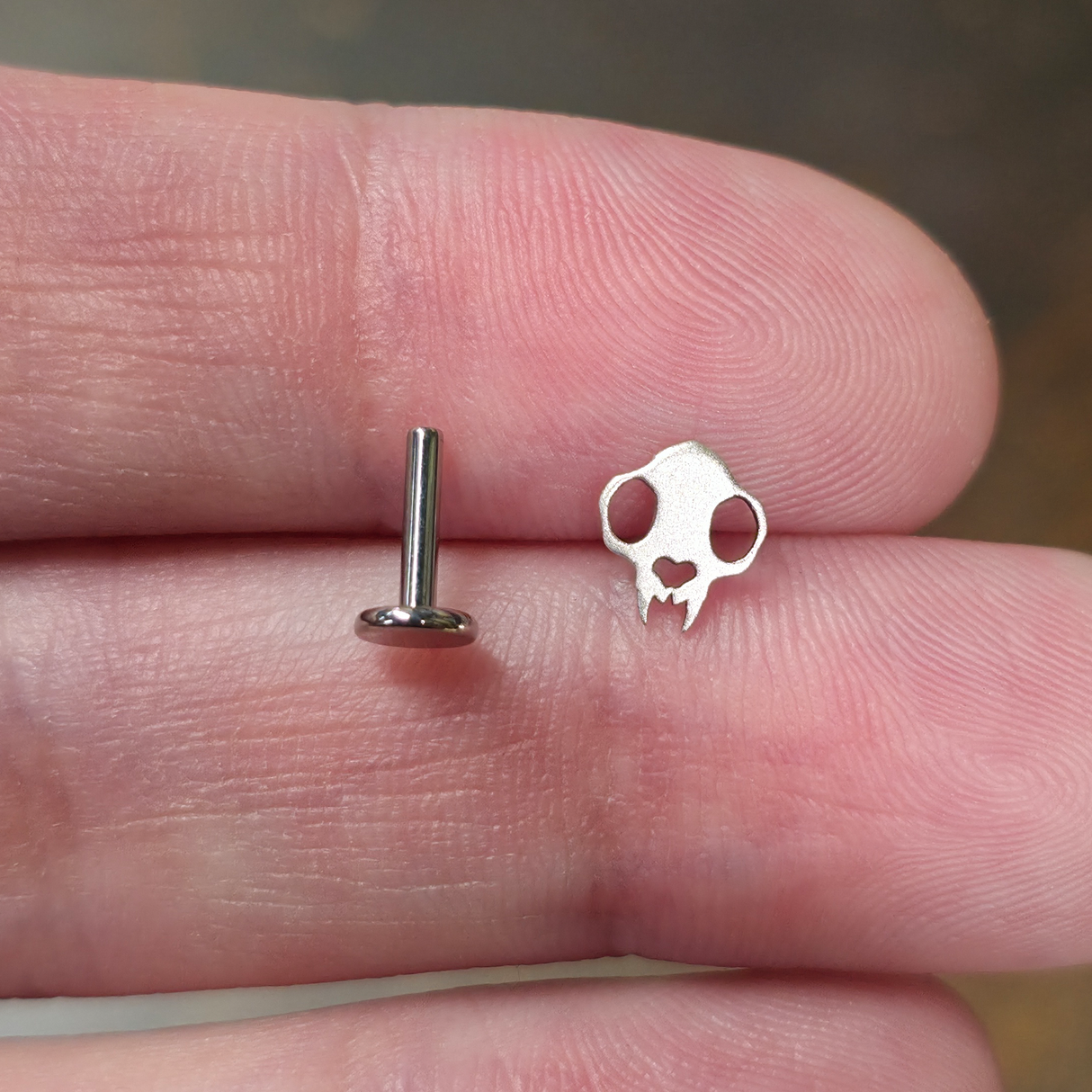 cat skull stud with labret backing