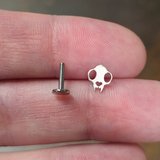 cat skull stud with labret backing