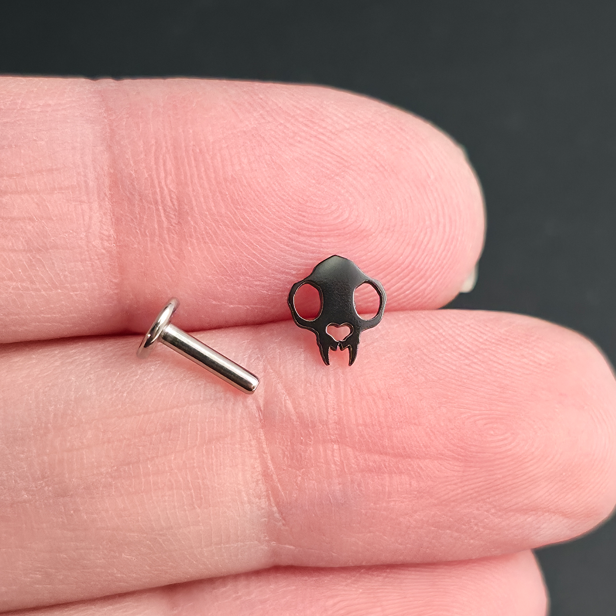 Cat Skull Silhouette Nose Stud + Earring