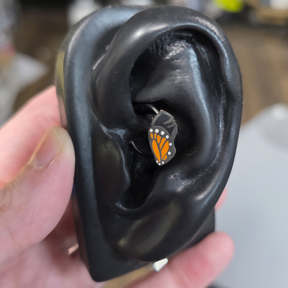 monarch chrysalis daith earring