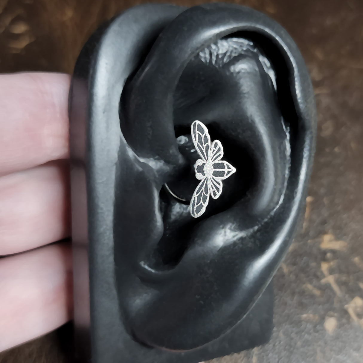 cicada daith earring