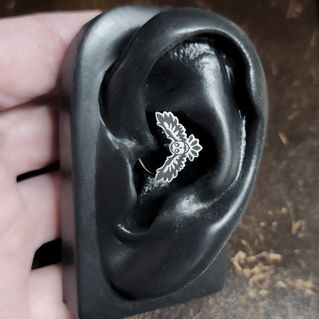 flying owl daith earring