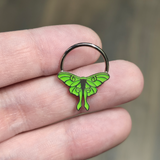 glow in the dark luna moth septum and daith ring