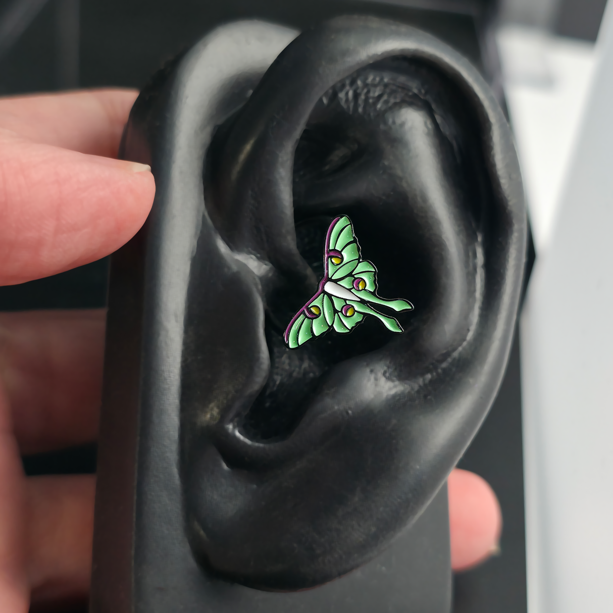 luna moth daith earring in ear