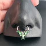 luna moth septum ring in nose
