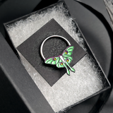 luna moth septum ring in jewelry box