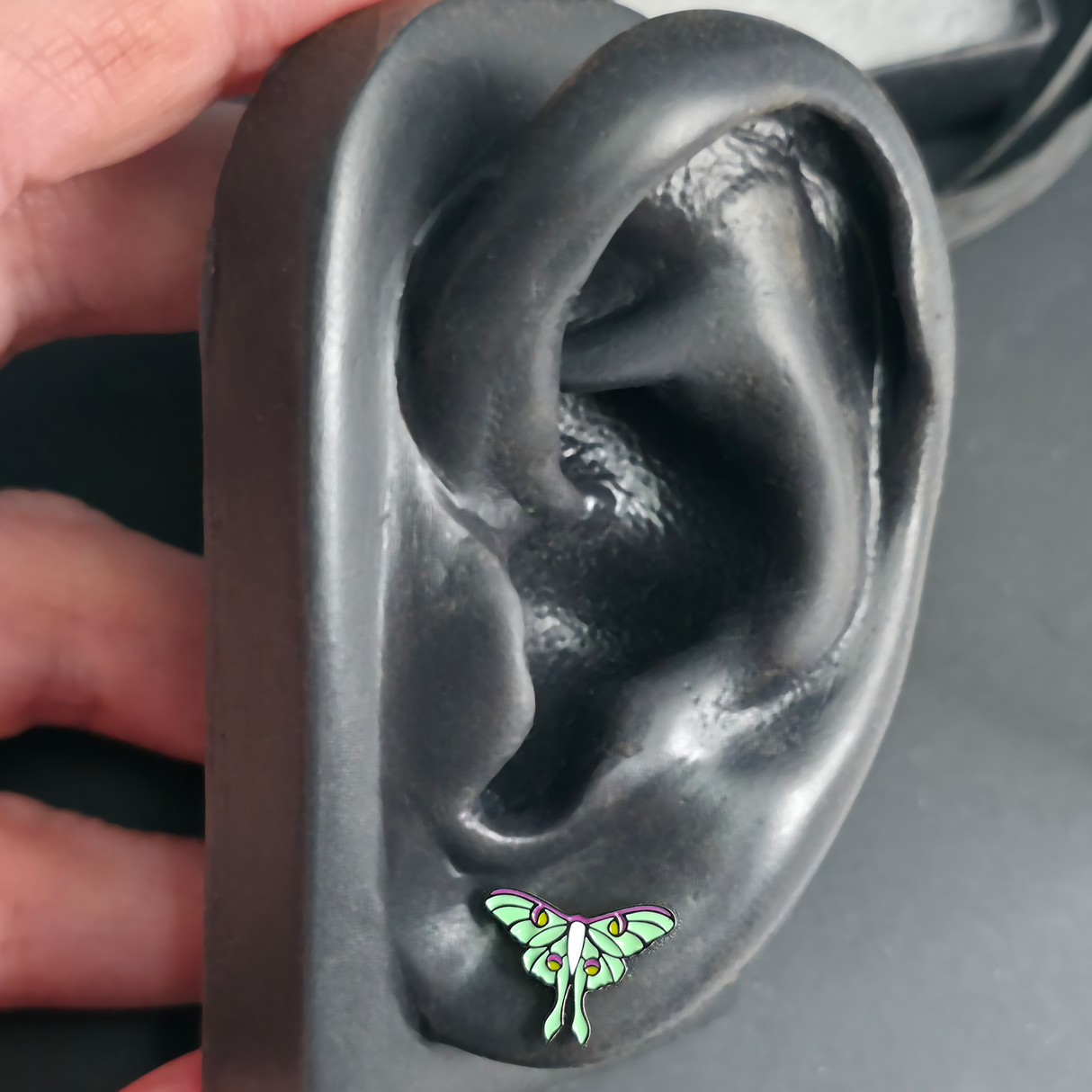 luna moth earring in an earlobe piercing