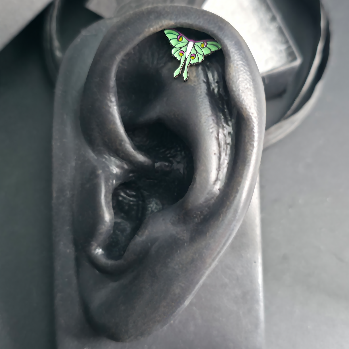 luna moth earring in a helix piercing