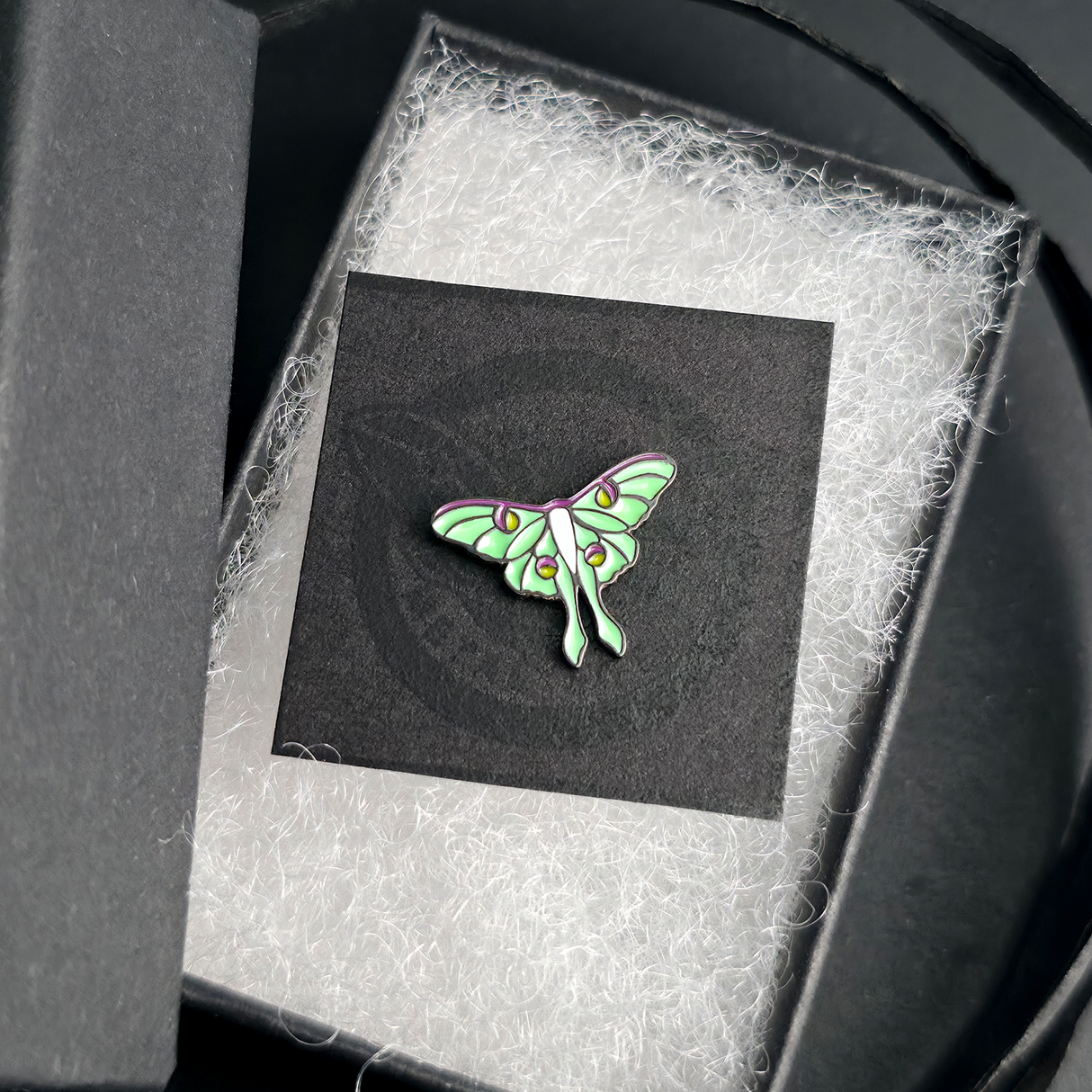 luna moth nose stud and earring in a jewelry box