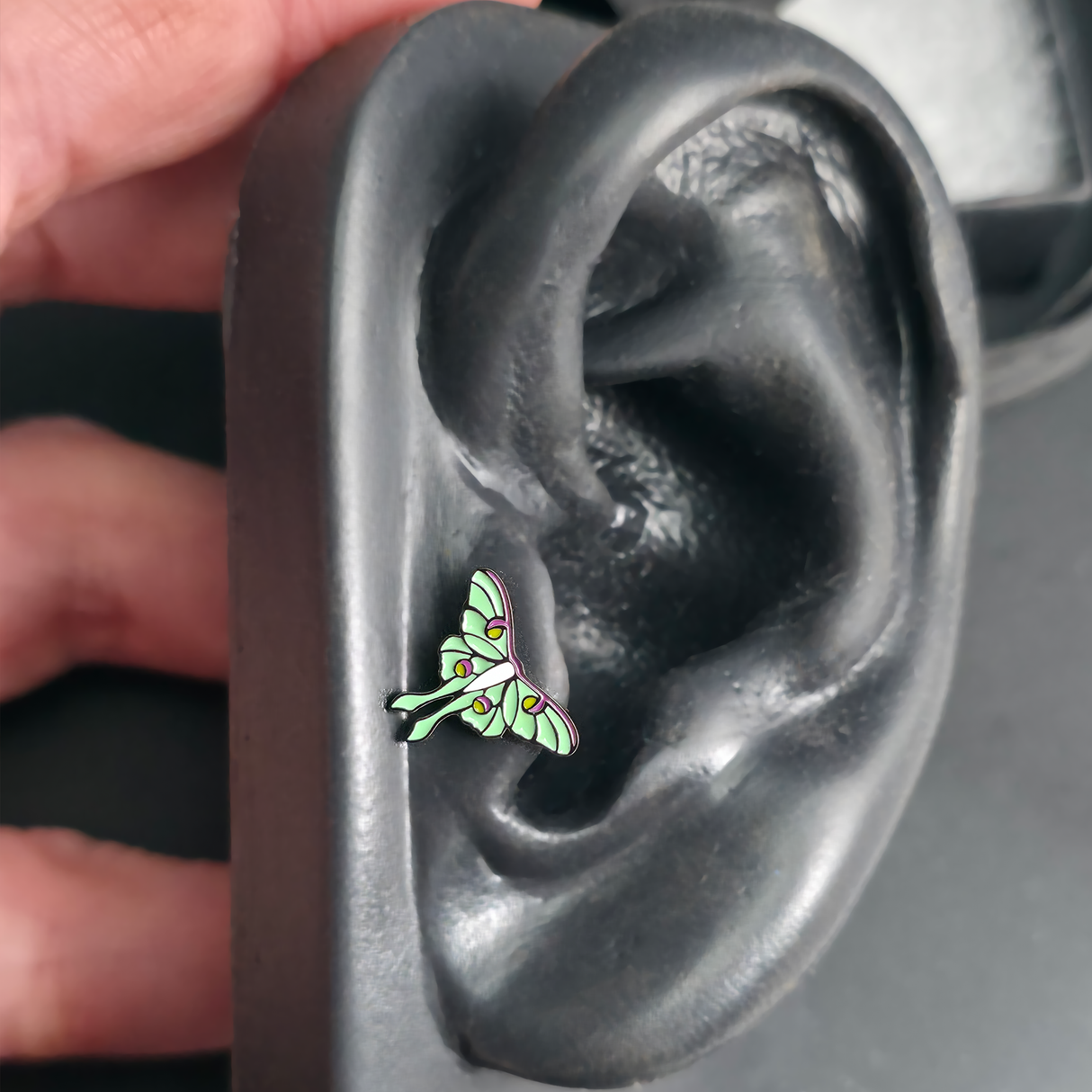luna moth earring in a tragus piercing