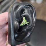 luna moth daith earring