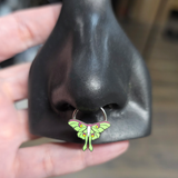 luna moth septum ring