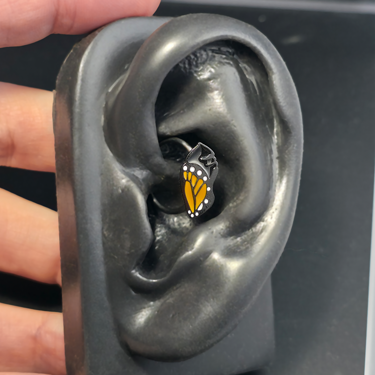 monarch chrysalis daith earring in ear