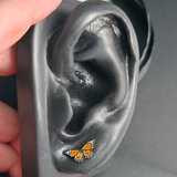 monarch butterfly earring in an earlobe piercing