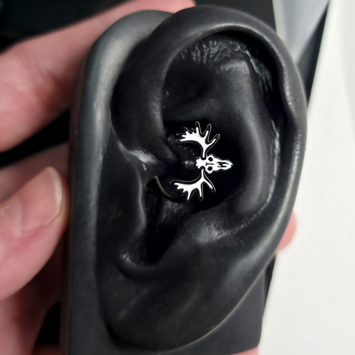 moose skull daith earring