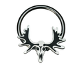 moose skull septum ring