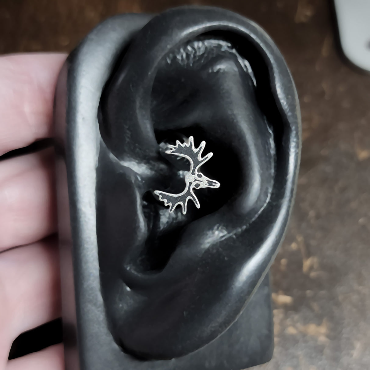 moose skull daith earring